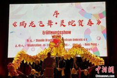 德国图林根州中国学联举办联合春